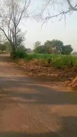 आज दिनांक 7अप्रैल को नरसिंहपुर के सभी गांव मे सुबह-सुबह ठंडा मौसम देखने को मिला यह कल की अपेक्षा ज्यादा था@sanjay6856028