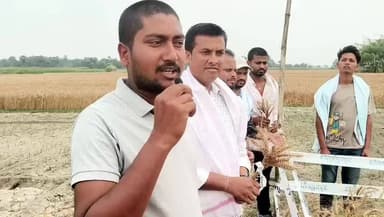 Syngenta Wheat🌾🌾 SW23
Performance feedback
Reatilers