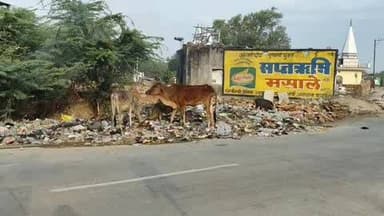 इस कचरे के ढेर से कई पशुओं की जान संकट मै है लेकिन इस पर कोई कार्यवाही नहीं की जा रही है #pahargarh #news #viral