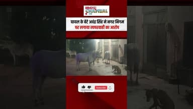 मॉर्निंग वॉक पर निकले बुजुर्ग पर सांड का हमला, CCTV में कैद दर्दनाक घटना | #BullAttack #SaandAttack