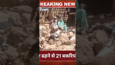 डूंगरपुर में दीवार ढहने से 21 बकरियों की मौत #news #rajkumarroat
