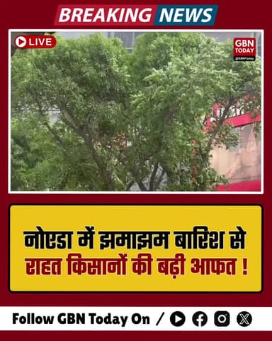नोएडा: झमाझम बारिश से राहत, किसानों की बढ़ी आफत।
#NoidaWeather #RainAlert #FarmersLoss #BreakingNews