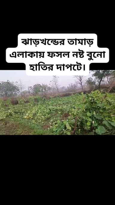 #highlightsシ゚ #follower