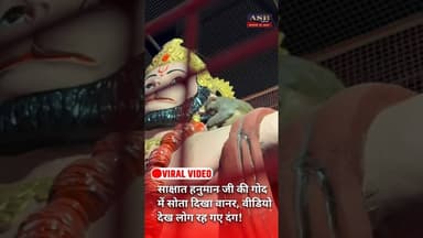 साक्षात हनुमान जी की गोद में सोता दिखा वानर, वीडियो देख लोग रह गए दंग #viral #viralvideo #reels