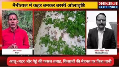 #नैनीताल : #मौसम ने तोड़ी किसानों की कमर! #बारिश और #ओलावृष्टि से खेतों और बागानों में भारी तबाही! आलू, मटर और गेहूं की फ...