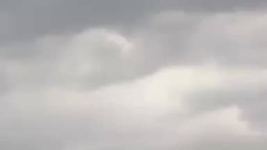 निवाड़ी: निवाड़ी में बदला मौसम, आंधी-बारिश से गेहूं की फसल पर गहराया संकट