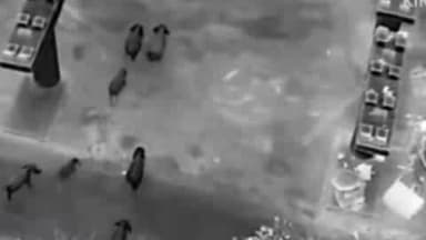 କେନ୍ଦୁଝର ସଦର: କେନ୍ଦୁଝର ରେ ବଣୁଆ ହାତୀ ପଲ ଏବେ ଜାତୀୟ ରାଜପଥ ଉପରେ ଯିବା ଆସିବା ନ କରି ଇଣ୍ଡର ପାସ୍ ଦେଇ ଯା ଆସ କରୁଥିବାର ଦୃଶ୍ୟ ନେଇ ସୂଚଚନା