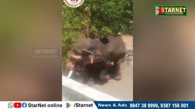 പാലക്കാട് കോങ്ങാട്ട് ക്ഷേത്രോത്സവത്തിനിടെ ആനയിടഞ്ഞ് പാപ്പാനെ ചവിട്ടി കൊന്നു
വാട്സ്ആപ്പ് ഗ്രൂപ്പില് അംഗമാകുവാന്...👇🏻...