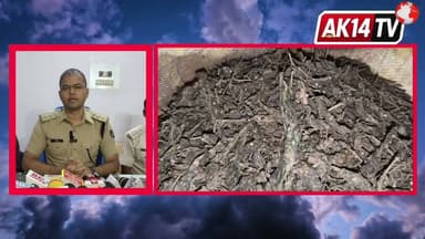 ବହୁ କୋଟି ଟଙ୍କାର ଗଞ୍ଜେଇ ଧରିଲା ଗଜପତି ପୋଲିସ