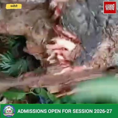 सोलन जिला के पट्टा महलोग में अचानक ढह गया विशाल वृक्ष
@topfans #vikrmadityesingh #educationalcontent #heavysnofall #wea...