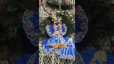 #वृंदावन श्री बांके बिहारी के आज के फूल बंगले के दर्शन#