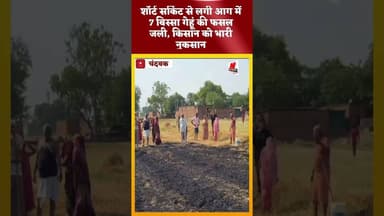 #चंदवक बिजली के शॉर्ट सर्किटसे किसान की फसल राख