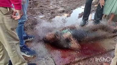 कोल: शाहकमाल रोड़ पर लकड़ी की टाल में मिट्टी में दबे अज्ञात शव मिलने से फैली सनसनी, हाथ पर गुदा 'वीर', शिनाख्त का प्रयास जारी