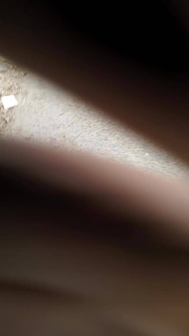 Daraunda Siwan Bihar news