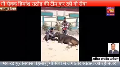 गौ सेवक हिमांशु राठौड़ द्वारा टीम की सेवा #foryou #news #breakingnews #viralreels #trendingreels