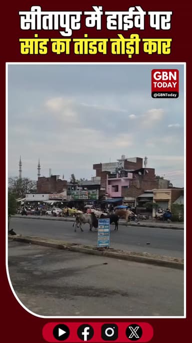 सीतापुर: हाईवे पर सांड का तांडव, कार तोड़ी और गिराया टीन शेड।
#Sitapur #ViralVideo #StrayCattle #UPNews