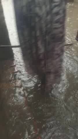 Mera kachcha ghar hai kise samy gir sakta hai