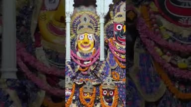 #जगन्नाथ जी मंदिर के आज के दर्शन@