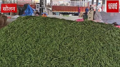 मटर के रेट है तोड़ा कई वर्षों का रिकॉर्ड , सर्वाधिक रेट पर बिका
हिमाचल समय - Himachal Samay Media #vikrmadityesingh #hp...