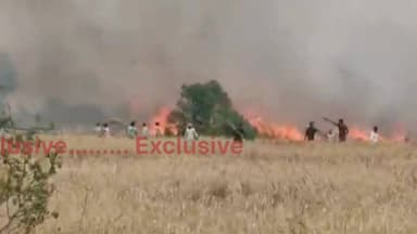 “हाई टेंशन लाइन की चिंगारी बनी तबाही का कारण ⚡🔥
लखीमपुर में 50 बीघा गेहूं की फसल जलकर राख”
#BreakingNews #LakhimpurKher...