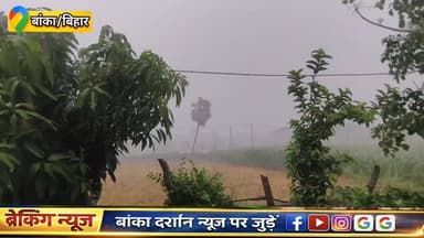 बांका में तेज आंधी-बारिश से जनजीवन प्रभावित.
#बांका #अमरपुर #धोरेया #कटोरिया #मंदार #rajon #BiharNews