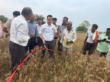 गेहूं फसल कटनी प्रयोग का निरीक्षण करते हुए
#MadhubaniFirst https://t.co/8KyXirDgci