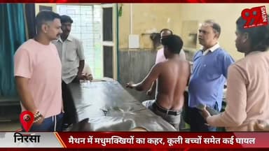 #निरसा : #मैथन में #मधुमक्खियों का #कहर, #कूली #बच्चों #समेत #कई #घायल