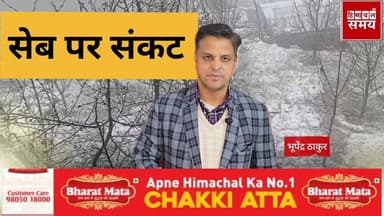 बर्फबारी व ओलावृष्टि की वजह से हिमाचल में सेब की फसल पर संकट
हिमाचल समय - Himachal Samay Media #vikrmadityesingh #educat...