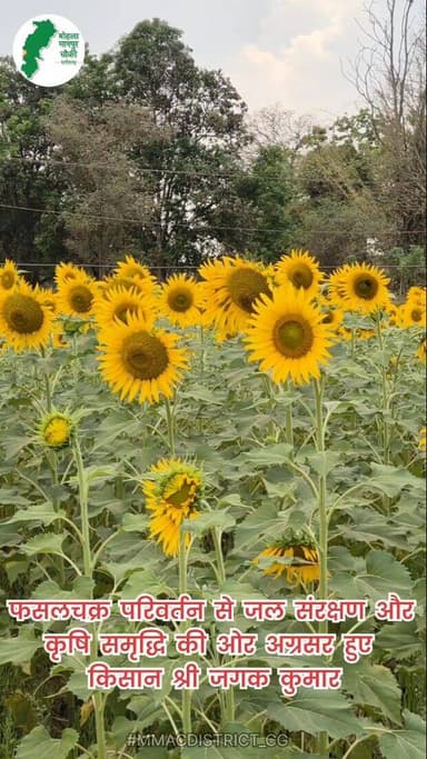फसलचक्र परिवर्तन से बदल रही खेती की तस्वीर
धान प्रधान पहचान से आगे बढ़ते हुए मोहला-मानपुर-अंबागढ़ चौकी जिला अब कृषि नवा...