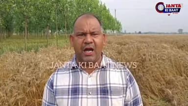 बेमौसम बारिश से तबाह किसान, मंत्री बोले– “फसल का बढ़ेगा वजन”, सच क्या है? कॉमेंट कर कर बताएं #yamunanagar #jagadhri #प्र...