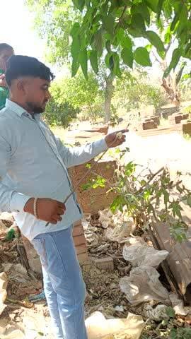 यह बन्दर बीमार अवस्था मैं है बन विभाग 1926पर कॉल रिसीव नहीं कर रहे है कृपा लोग
मदद कर u,p siddharthnagar bansi ranig