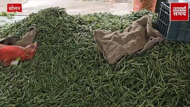 फिर आया मटर के रेट में जबरदस्त उछाल जानिए, किस भाव बिका
हिमाचल समय - Himachal Samay Media #vikrmadityesingh #hpgovtjobs ...