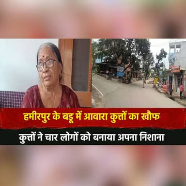 हमीरपुर के बडू में आ.वा.रा कु.त्तों का खौफ
कुत्तों ने चार लोगों को बनाया अपना निशाना
#Hamirpur #Badu #StrayDogs #DogAt...