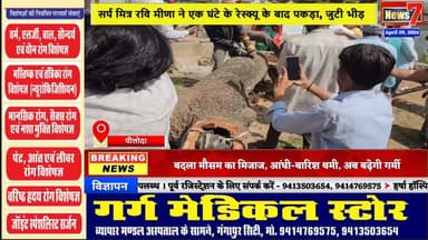 #news अनोखे जीव से लोग डरे,किया रेस्क्यू #news7rajasthan #news7 #piloda #wazirpur #gangapurcity
