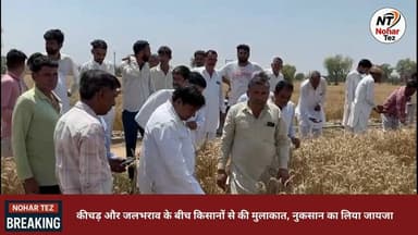 ओलावृष्टि से तबाह फसलें, विधायक अमित चाचाण खेतों में पहुंचे, गिरदावरी के दिए निर्देश
#नोहर #ओलावृष्टि #किसान_संकट #फसल_न...