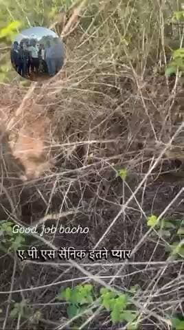 ए.पी.एस सैनिक इतने प्यार बच्चे मेरी टीम है मुजे बहुत लेट पता चला मुजे गर्व है इन प्यारे से बच्चों पर..!
#apsgurjar #viral #gwalior