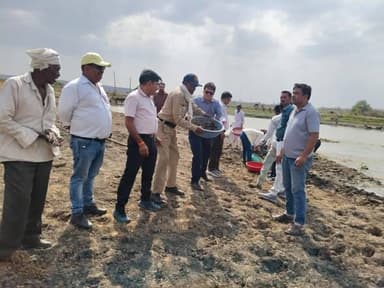 जिले में चलाए जा रहे #जल_गंगा_संवर्धन_अभियान_MP के तहत औबेदुल्लागंज जनपद पंचायत के ग्राम ढाबला में जनभागीदारी से तालाब क...