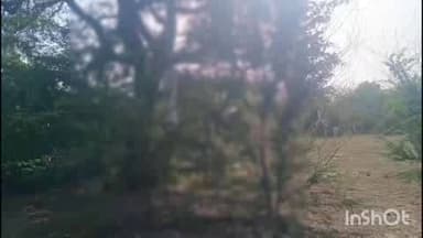 जैसलमेर: रामगढ़ रोड किनारे पेड़ से लटका मिला व्यक्ति का शव, पुलिस कर रही मामले की जांच