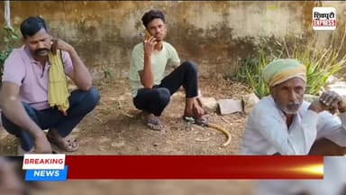 मोटरसाइकिल फिसलने से हादसा, युवक की मौके पर मौत|| SHIVPURI NEWS EXPRESS
#shivpurinewsexpress #shivpurinews #shivpuriex...