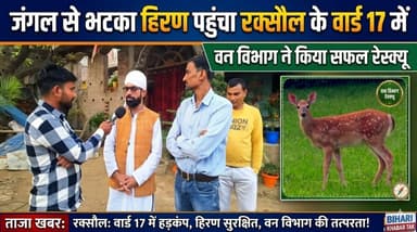 👉 जंगल से भटका हिरण पहुंचा रक्सौल के वार्ड 17 में, वन विभाग ने किया सफल रेस्क्यू #Raxaul #BiharNews #DeerRescue #Wildlif...
