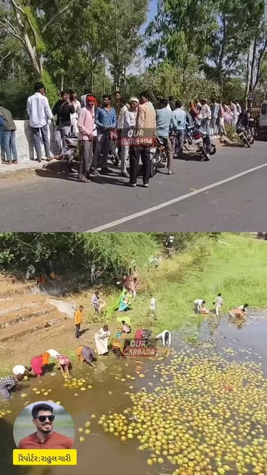 ગરબાડાના 'મોતના પૂલ' પર નારિયળની રેલમછેલ: ટ્રક પલટી ખાતા જ લોકોમાં મચી લૂંટફાટ!