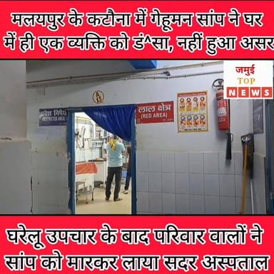 जमुई के कटौना में गेहूमन सांप ने रजनीश कुमार सिंह को डं^सा, विष का नहीं हुआ असर #jamuitopnews #NFL #jamuibihar #cobra #...