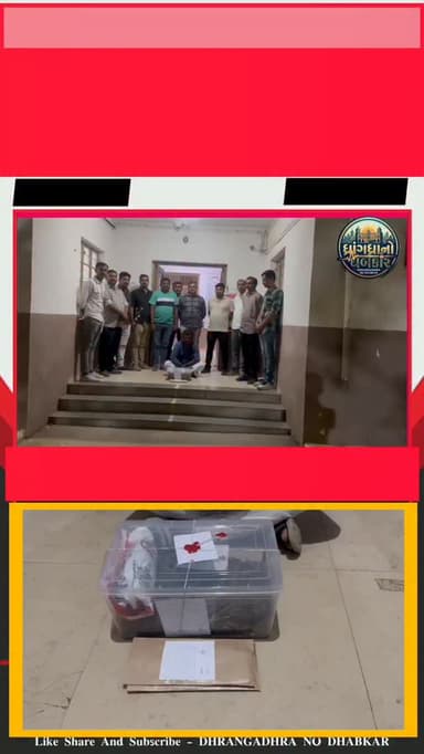 ધાંગધ્રા ખાટકીવાડ વિસ્તારમાં એસઓજીનો દરોડો 1.84 કિલો ગાંજા સાથે એક ઝડપાયો, બે સામે ગુનો નોંધાયો#dhrangadhra #brekingnews...