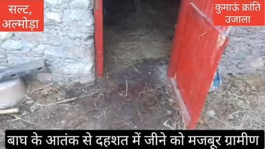 #रामनगर से लगते #मोहान सीमा क्षेत्र के पास #सल्ट क्षेत्र के #तडम गांव में बाघ का #आतंक बना हुआ है, #बीते कुछ दिनों पूर्व...