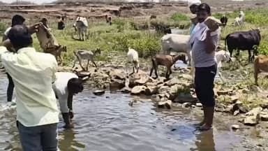 #सिवनी/ #जल_गंगा_संवर्धन_अभियान अंतर्गत विकासखण्ड केवलारी में ग्राम पंचायत अहरवाडा में श्रमदान कर बोथिया घाट नाला की साफ...