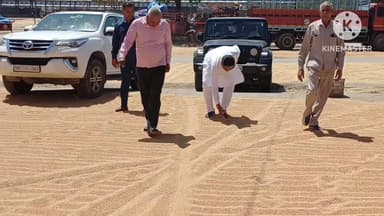 शाहाबाद अनाज मंडी में किसानों की समस्याओं पर गरजे विधायक रामकरण काला, नमी नियम और नई प्रक्रिया पर उठाए सवाल