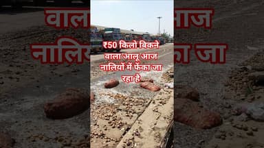 ₹50 किलो बिकने वाला आलू आज नालियों में फेंका जा रहा है #aalukabhav