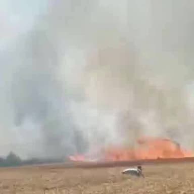 नोखा: मौडीहा, शीतलपुर, डेरा सोतवा में अगलगी से लाखों रुपए की गेहूं की फसल जलकर हुई राख