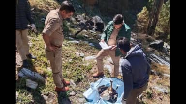 कपकोट: खर्ककानातोली के जंगल में मिला नर कंकाल, 72 वर्षीय शेर सिंह के रूप में हुई पहचान, पुलिस मौके पर मौजूद