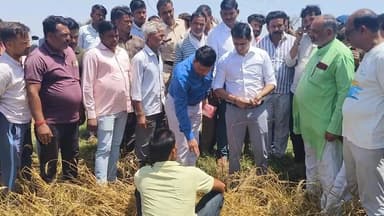 कलेक्टर ने किया ओला से प्रभावित फसलों का निरीक्षण
#viralreelschallenge #दतिया #NewsUpdate #datia #swapnilwankhadeias #Ma...